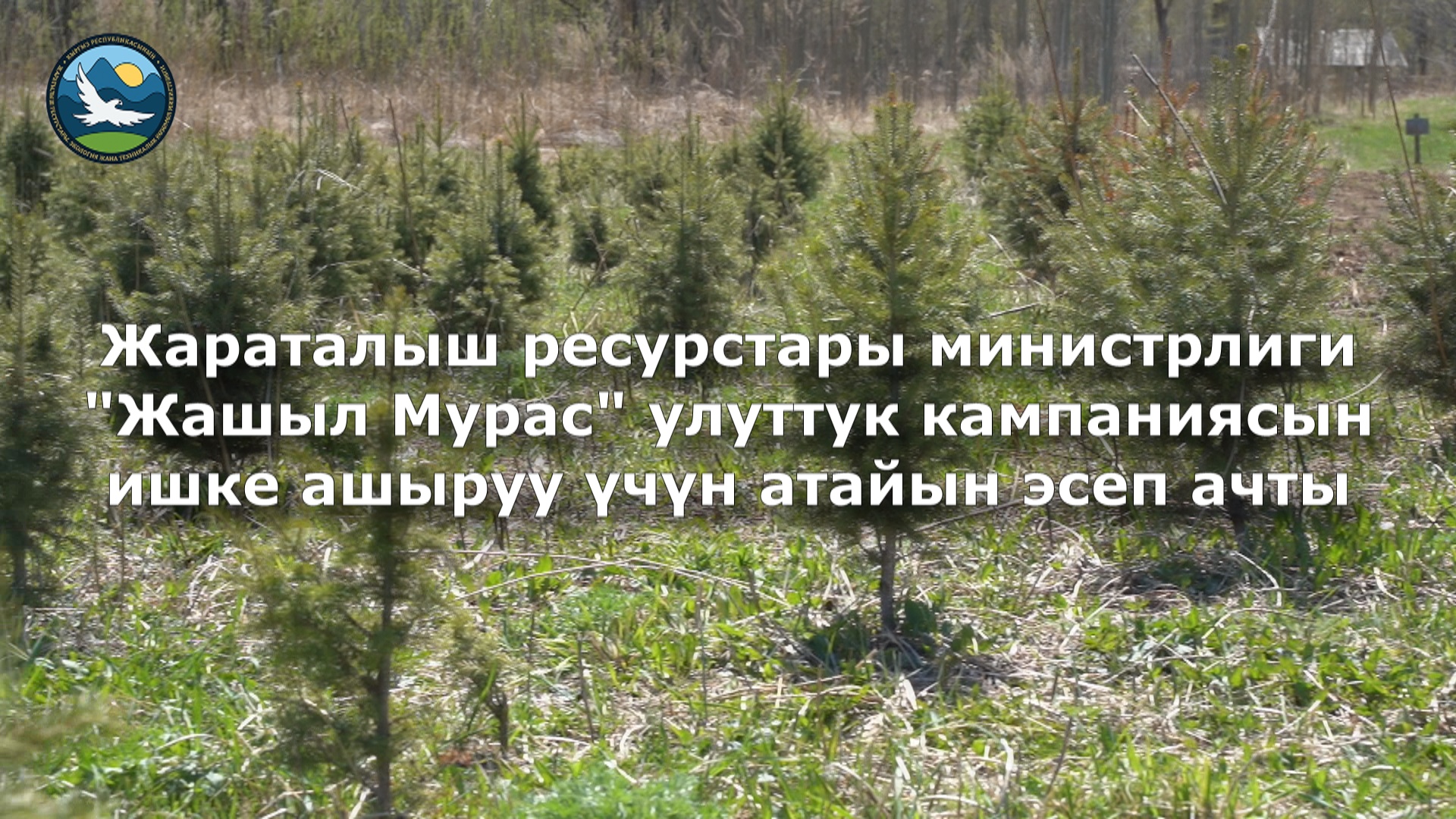 Жараталыш ресурстары министрлиги "Жашыл Мурас" улуттук кампаниясын ишке ашыруу үчүн атайын эсеп ачты