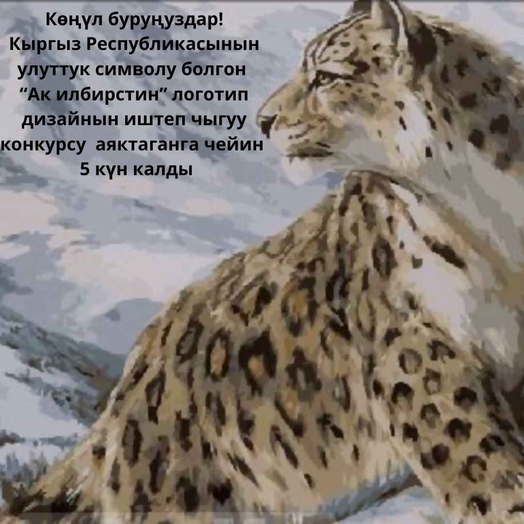 Всего 5 дней до окончания конкурса на логотип снежного барса — успейте подать свою работу!